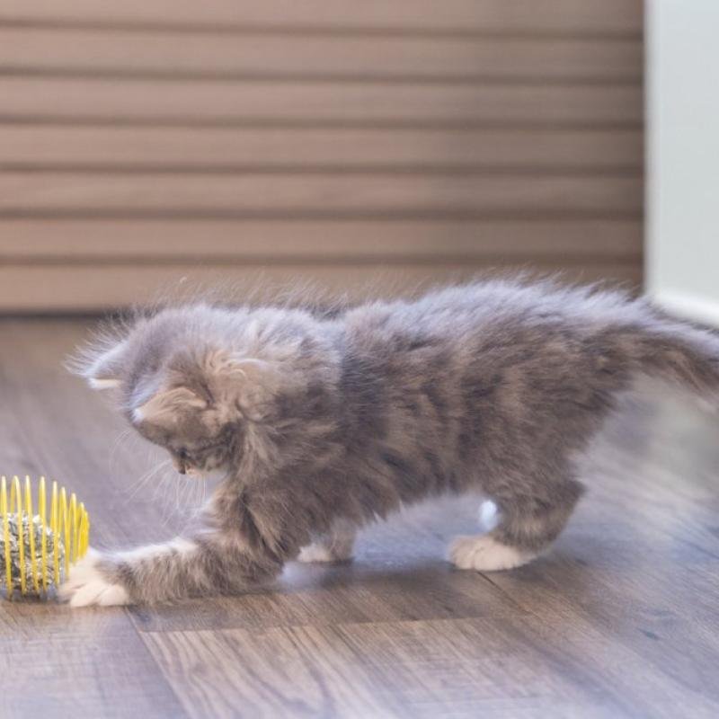 BZ игрушка для кошек Bouncing Ball