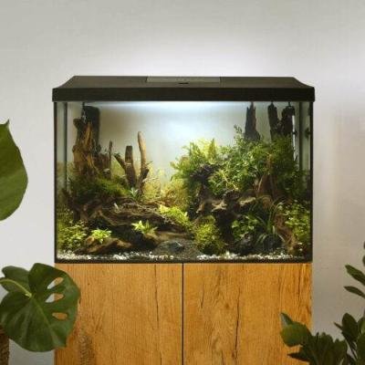 AQUAEL Aquarium set LEDDY 60 D&N Black 2.0