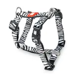 MAX & MOLLY Шлейка Zebra m