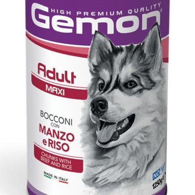 GEMON Dog Maxi Adult Chunks with Beef and Rice
