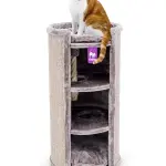 PETREBELS CHAMPIONS Only Superdome 100 Cappuccino