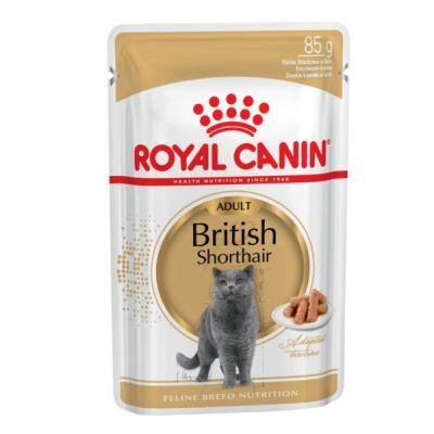 ROYAL CANIN British Shorthair 85gx12buc