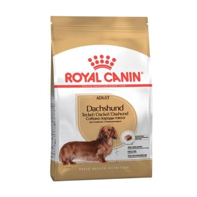 ROYAL CANIN Dachshund Adult