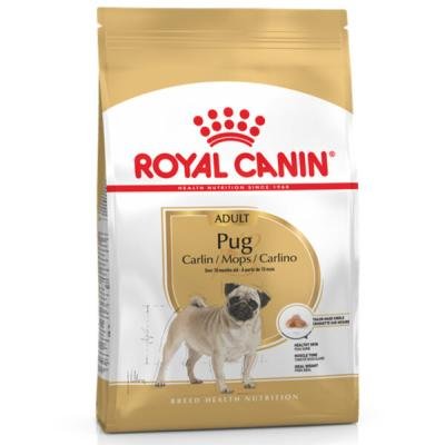 ROYAL CANIN Pug Adult