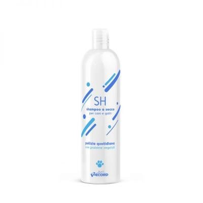 Șampon uscat RECORD ALL Dry Shampoo
