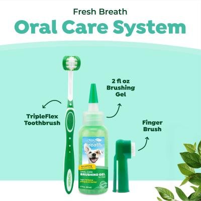 Fresh Breath Oral Care Kit