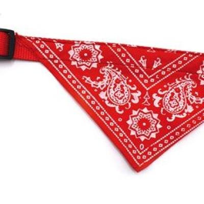 Zgardă cu eșarfă BANDANA CM.27-40x10MM